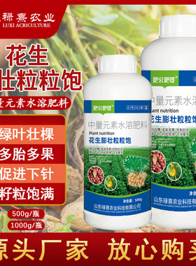 肥公肥婆花生膨大粒粒饱绿叶壮颗颗粒饱满膨果防落提高产量农肥