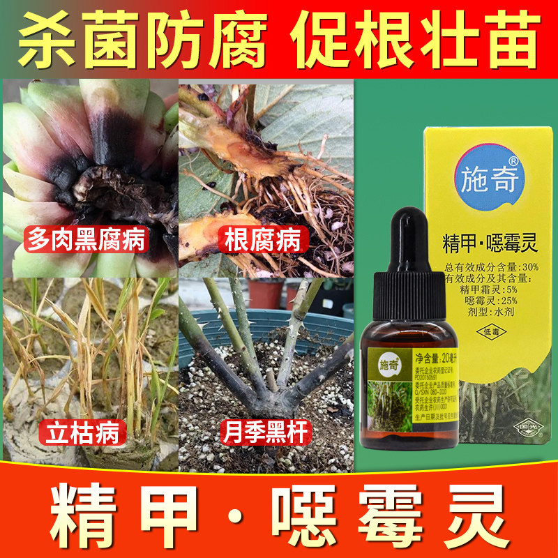 施奇精甲恶霉灵兰花多肉月季黑杆立枯根腐病专用药烂根土壤杀菌剂