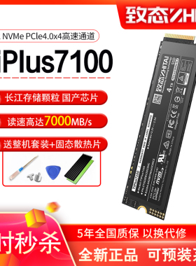 致态 三星  掠夺者 铠侠M2 西数850X 固态硬盘长江存储笔记本台式