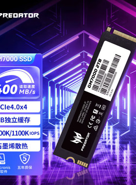 宏碁掠夺者GM7000 SSD固态硬盘M.2接口NVMe协议PCIe 4.0