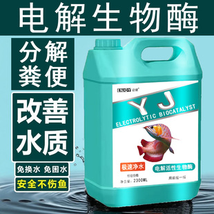 电解活性生物酶硝化细菌净水剂空气缸新手养鱼水质稳定剂
