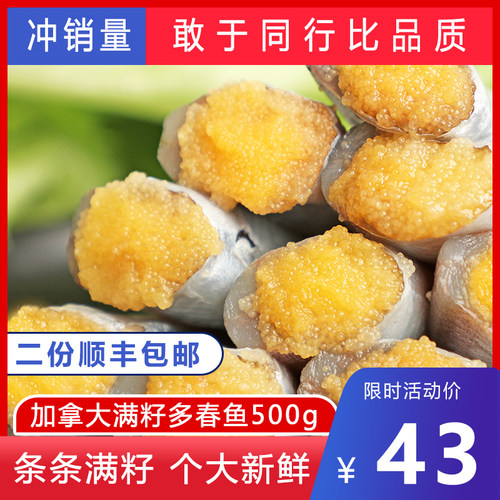 鲜冻加拿大满籽多春鱼2021年新货