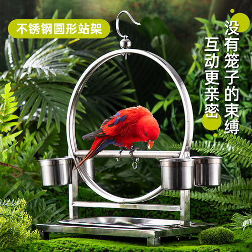 承希不锈钢鹦鹉鸟站架