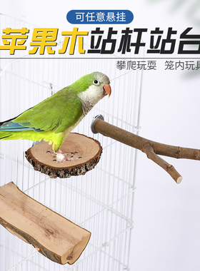 鸟玩具吊环鹦鹉原木树杈鸟站扛站台虎皮站架苹果木鸟啃咬鹦鹉用品