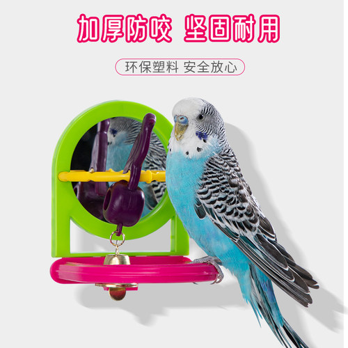 各种镜子玩具鹦鹉玩具