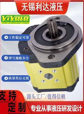VIVOLO齿轮泵X2P5101EOOA X2P5301EOOA X2P5501EOOA X2P5701EOOA