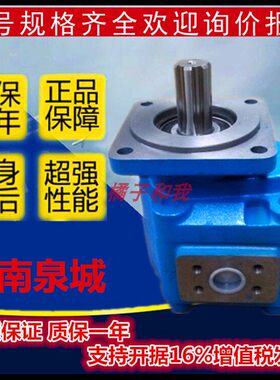 渔船齿轮泵CBG3200 3125 3100 3180 3140渔船起网齿轮马达CMG3160