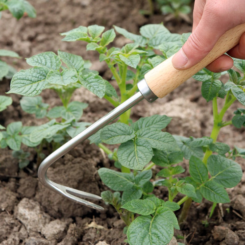 不锈钢除草神器拔草连根手工