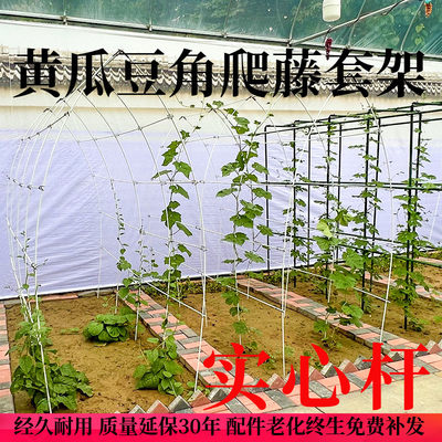 爬藤架葡萄黄瓜豆角架种菜花支架庭院园艺花卉植物支撑杆西红柿架