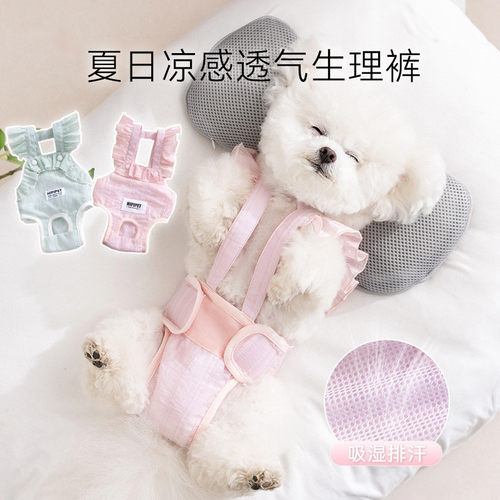 狗狗四季透气生理裤母狗专用舒适防骚扰可洗多尺寸安全裤