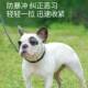 一体式 狗狗牵引绳P链遛狗绳小型犬中型犬大型犬适用