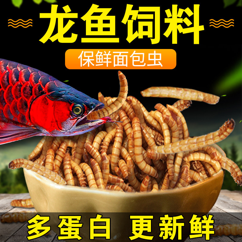 龙鱼饲料金龙红龙银龙鱼食招财鱼