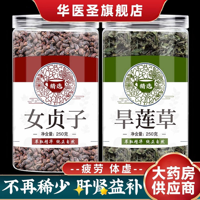 女贞子墨旱莲草中药材茶功效