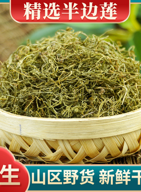 半边莲中药材500g野生半边连新鲜半边花瓜仁草急解索细米草中草药