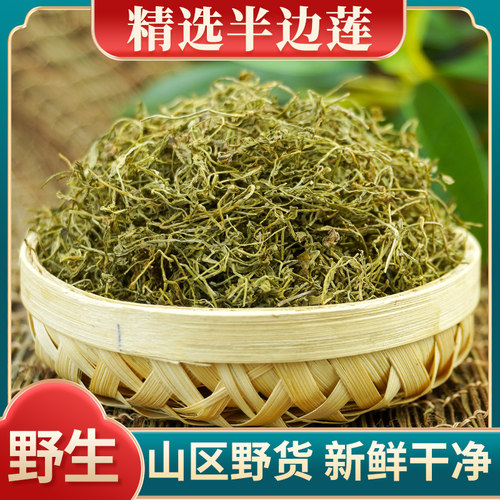 山区野货-新鲜干净-气微特异