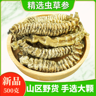 云南虫草参中药材500g克地参新鲜干货煲汤料新货竹节参草石蚕正品