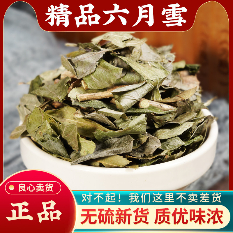 六月雪中药材500g无硫新鲜路边荆正品野生白马骨满天星鸡骨柴干货