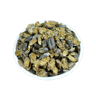 鼠妇虫中药500g野生正品干货