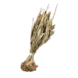 见血清中药材500g克新鲜野生整颗见血青草药无硫新货羊儿蒜立地好