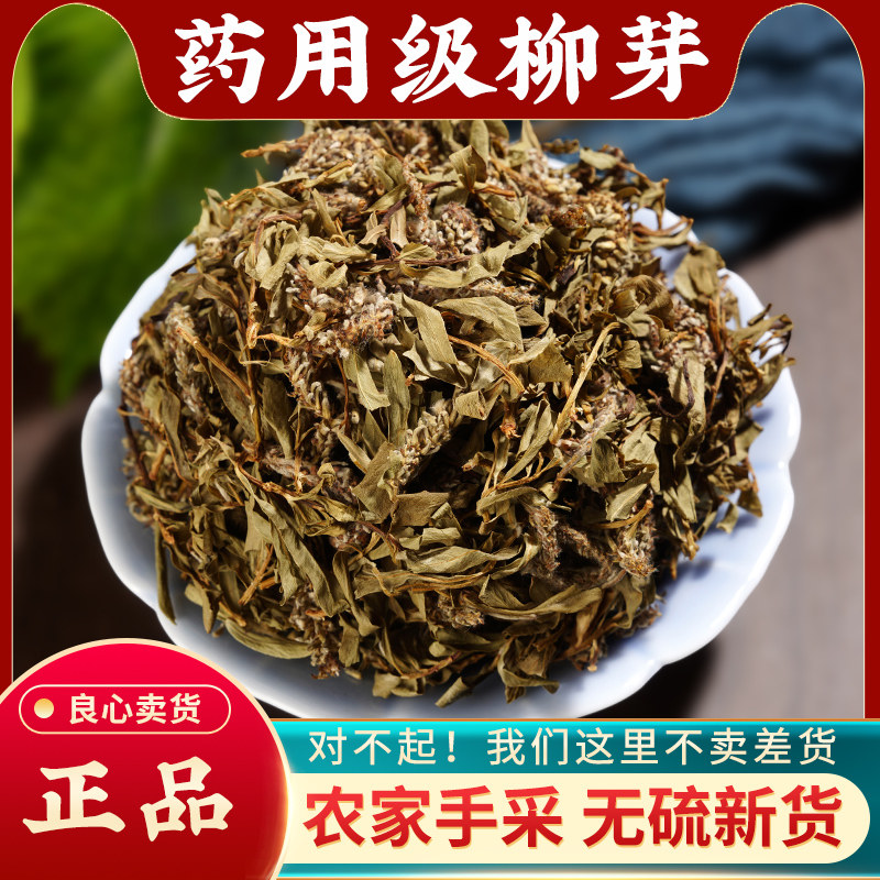 柳芽中药材500g天然野生柳树芽 柳蕊 柳蒿芽 泡水 柳芽茶新鲜干货