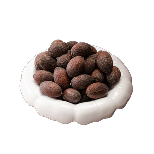 葵树子中药材500g野生正品新会大粒葵树籽老果葵扇子葵扇籽蒲葵籽