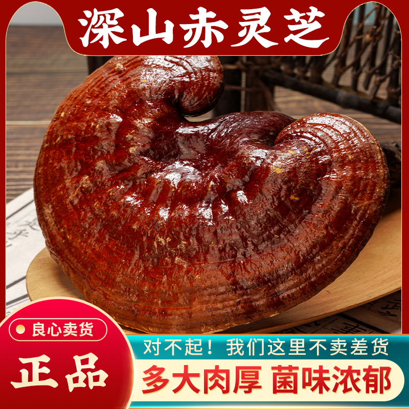 整枝赤灵芝500g长白山野生正品灵芝纯天然高含量泡酒煲汤赤灵芝片