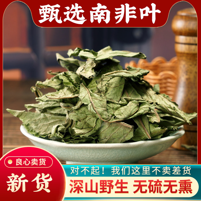 南非叶干叶茶干品正宗将军叶苦胆叶杏叶斑鸠菊干品尖尾凤干叶南叶