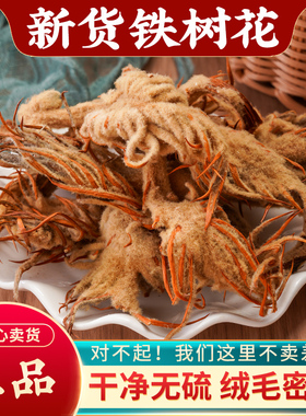 铁树花中药材500g无硫雌铁树花正品铁树花新货雌铁树花干花凤尾蕉