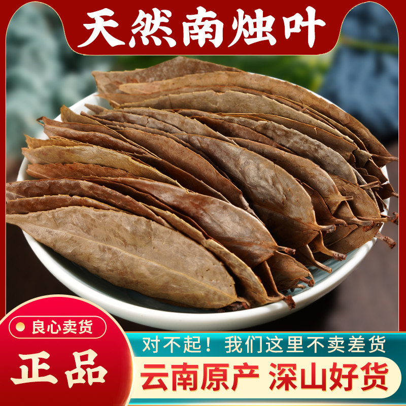 正宗野生南烛叶中药材500g新鲜干货南竹叶墨饭叶乌饭树叶整叶无碎