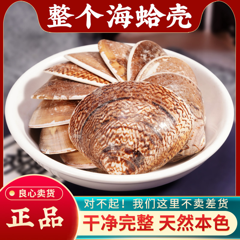 海蛤壳中药材1000g 野生蛤壳海蛤壳天然蛤蜊壳精选大个海蛤整个