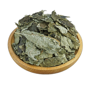 紫珠草中药材500g野生大叶干紫珠大风叶赶风紫红大曰假大艾止血草