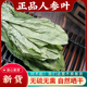 人参叶中药材500g人参茎叶正品 散装 特级野生药用参叶山参叶移山参