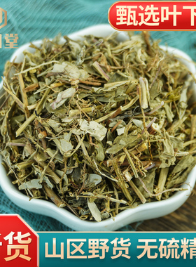 叶下珠中药材500g克野生叶下珠茶珍珠草龙珠草鱼鳞草夜合草中草药