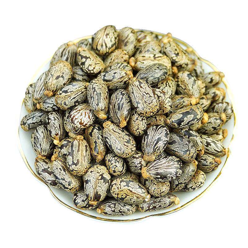 蓖麻子中药材500g克 野生蓖麻籽种子油 新鲜生蓖麻仁中药蓖麻子粉