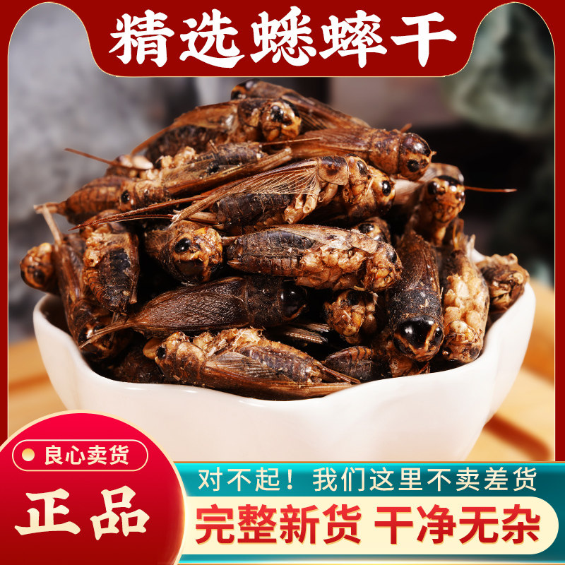 蟋蟀干中药材500g无硫新货蟋蟀蚱蜢干蛐蛐干夜鸣虫将军虫磨粉正品