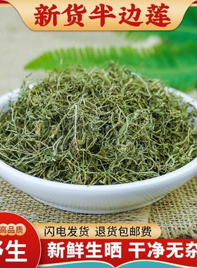 半边莲中药材500g野生半边连草药新鲜干货瓜仁草急解索细米草正品