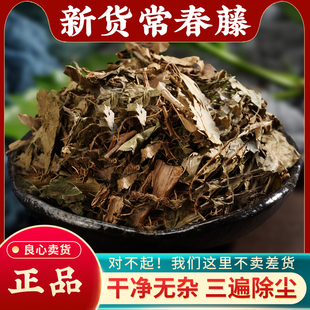 野生常春藤500g新鲜干货长春藤三角枫中药材追风藤钻天风无硫正品