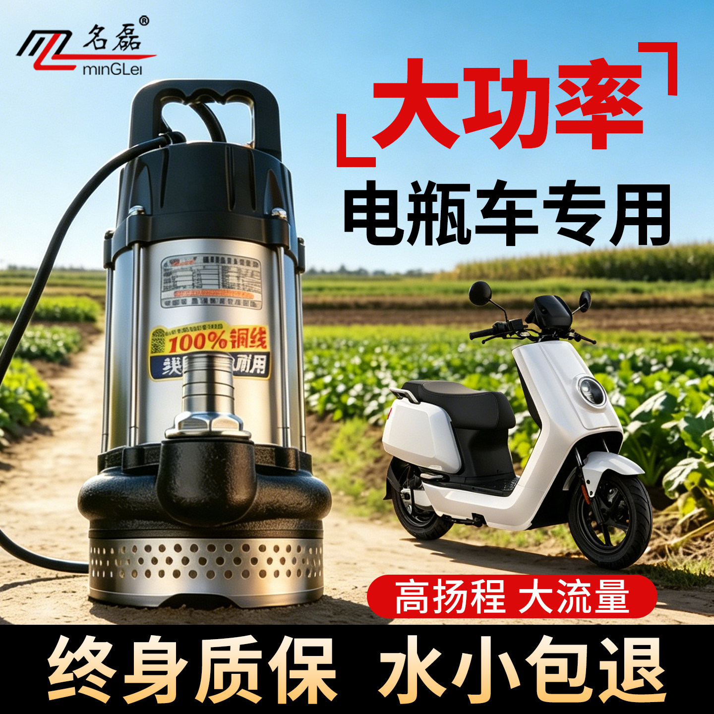 无刷电瓶车专用抽水泵48v60v72v电动车抽水泵直流潜水泵浇菜灌溉