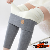 外穿 一体保暖棉裤 纯棉羊羔绒打底裤 女秋冬加绒加厚高腰加肥加大码