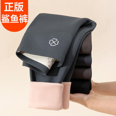 VFH女童鲨鱼裤加绒儿童打底裤子