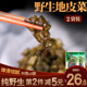 甘肃地皮菜免洗野生新鲜地软地木耳地达菜干地皮菜野生 免洗 免邮