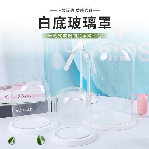 白底玻璃罩手办模型防尘罩创意摆件桌面微景观装饰球玻璃瓶