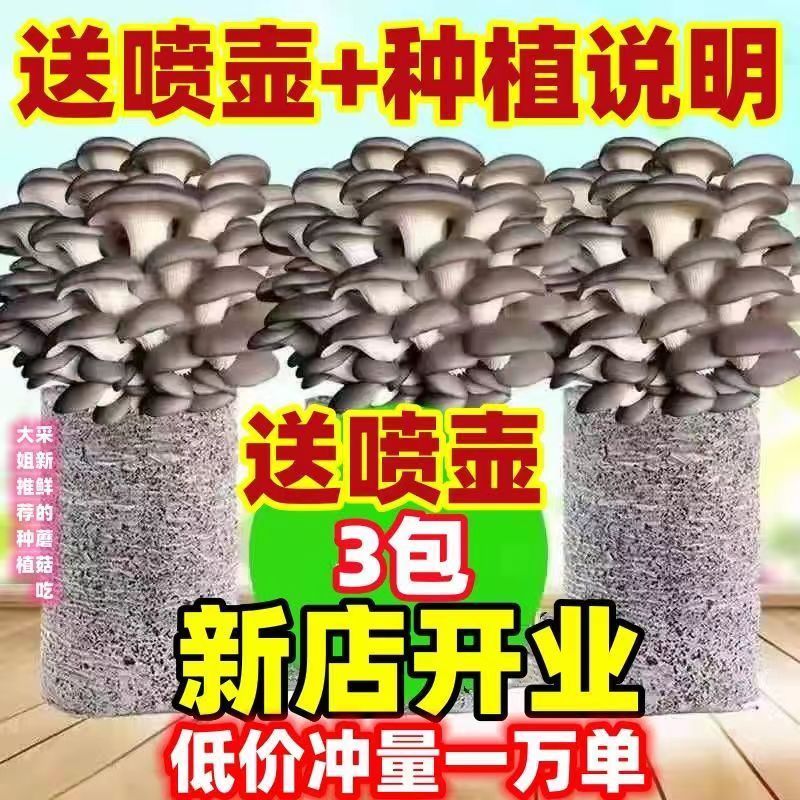 【买一发三】家庭蘑菇菌包食用菌室内蘑菇种植菌棒种子菌种菌菇包