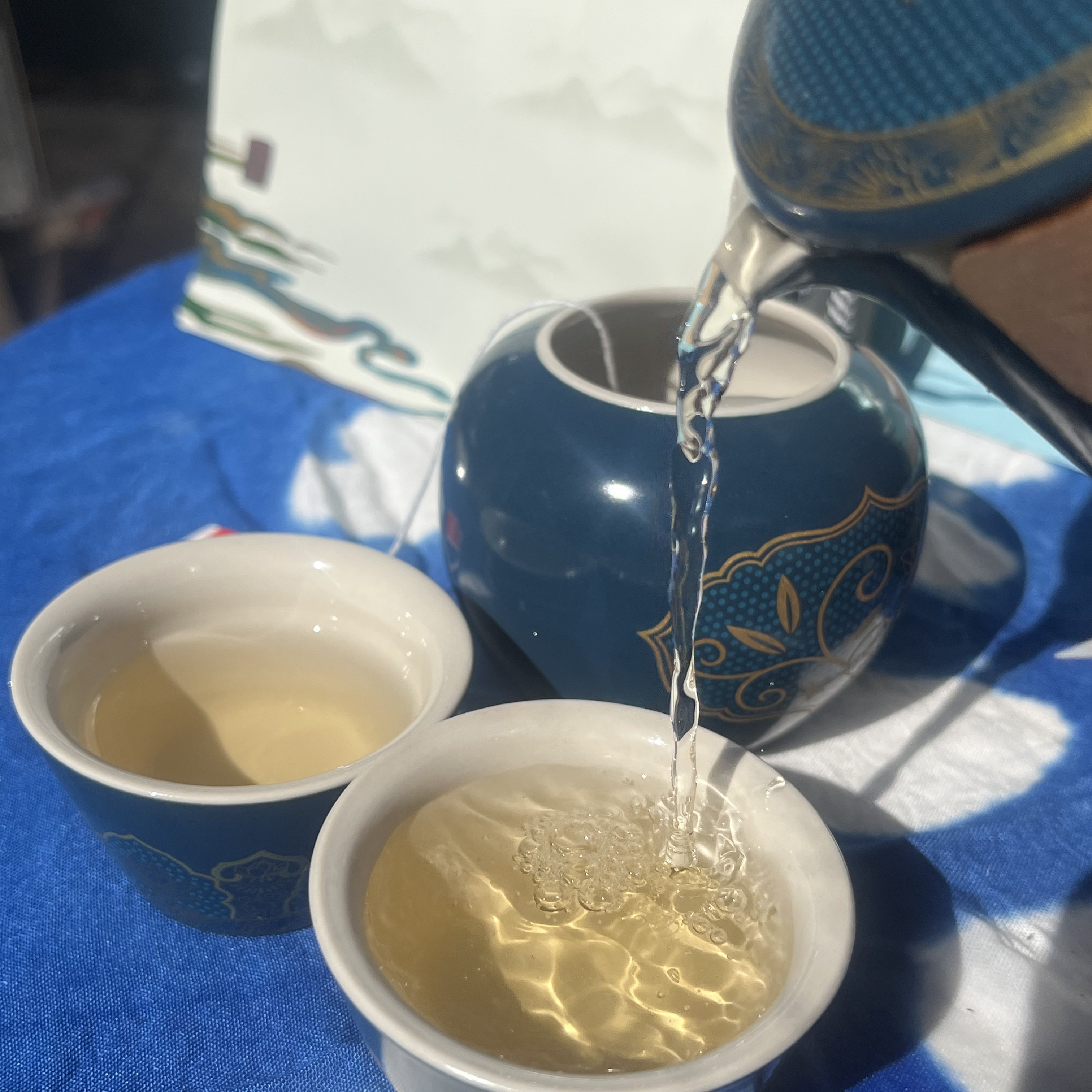 云南大理发货茶叶普洱生茶熟茶白茶滇红袋泡茶实用居家旅行便携带,茶,普洱,淘宝优惠券,粉丝福利购,淘宝优惠卷