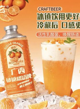 果香味罐装沙糖橘奶啤精酿