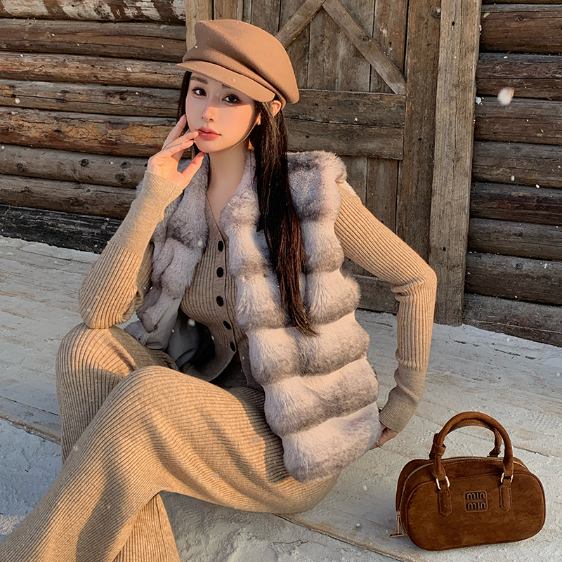 实拍 高级感时髦贵妇青紫蓝龙猫外套女环保兔毛皮草马甲短款背心