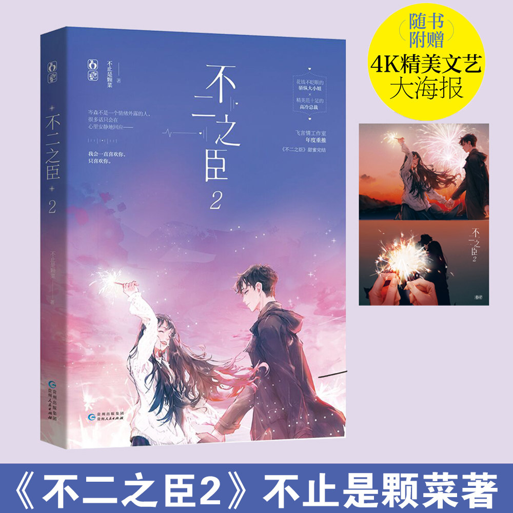 正版现货【赠精美海报】不二之臣2完结篇 不止是颗菜作品 飞言情都市