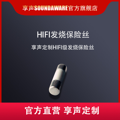 保险丝SOUNDAWARE/享声旗舰级
