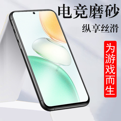 适用nic-an00荣耀play10c磨砂膜