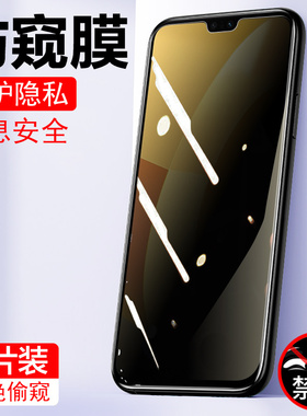 vivos10防窥膜viv0s10pro防窥s10防偷窥vⅰvos10pr0手机钢化膜ⅴivos10p防窥屏Ⅴos十pr0仿放反防盗屏幕隐私